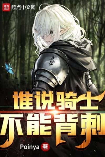 Who Says Knights Can’t Backstab? novel cover