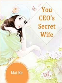 You, CEO's Secret Wife novel cover