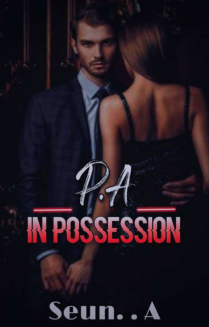 P.A IN POSSESSION novel cover