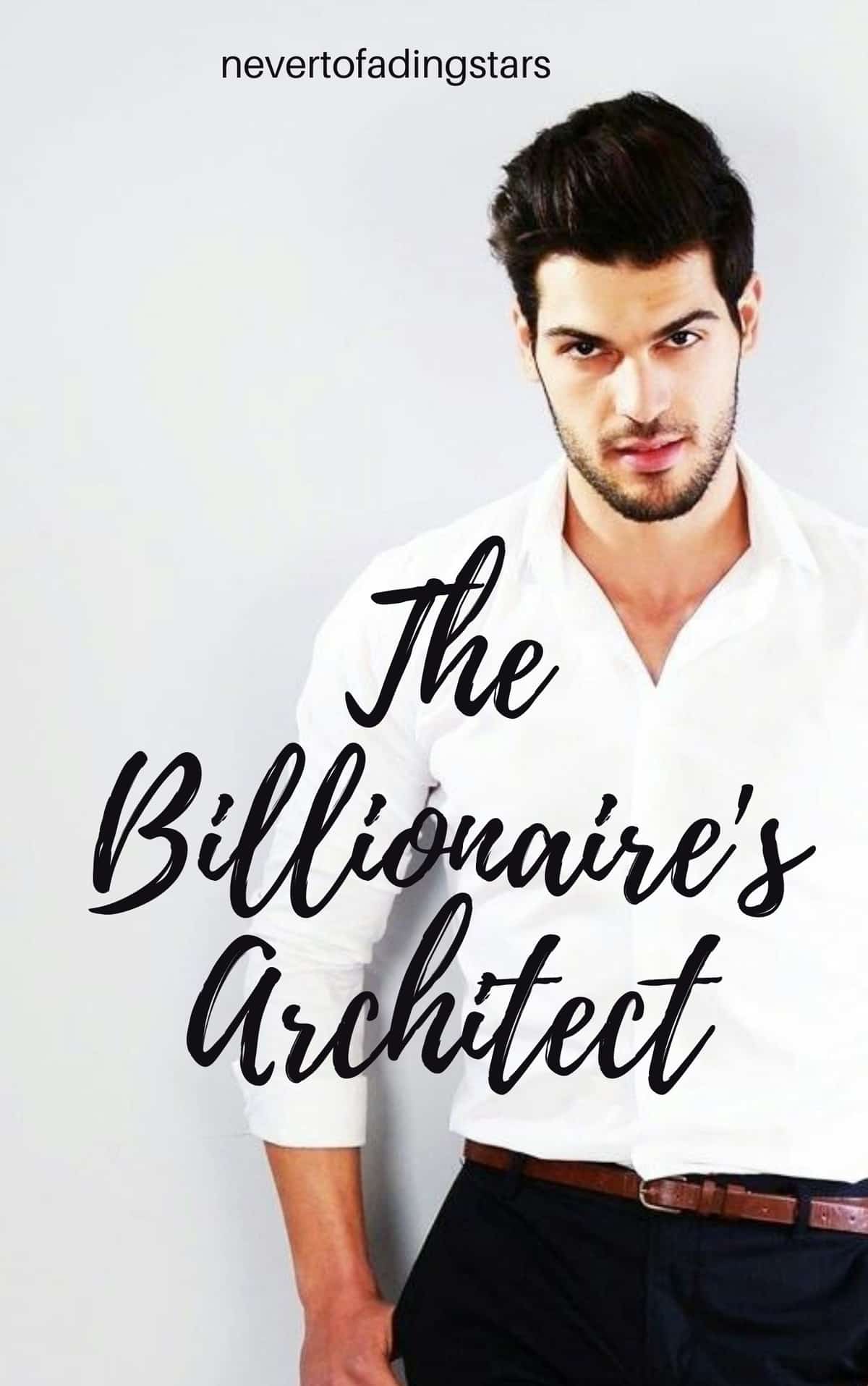 The Billionaire's Architect novel cover