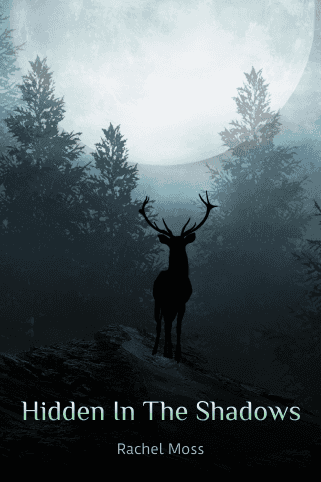 Hidden In The Shadows novel cover