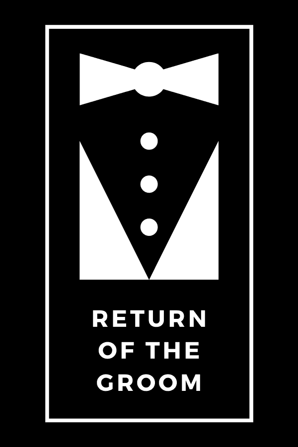 Return of the Groom novel cover