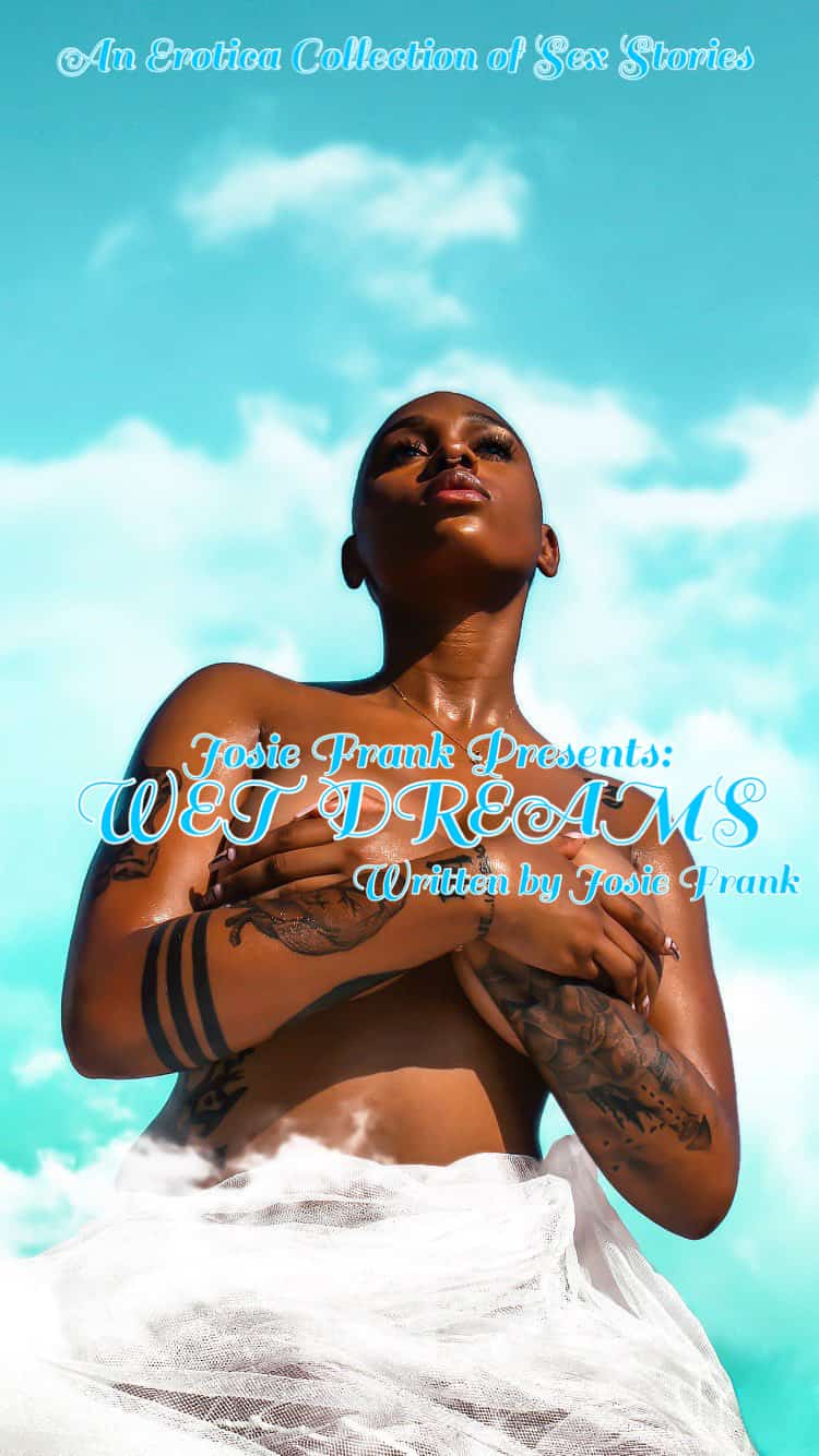 Wet Dreams (erotica collection) novel cover