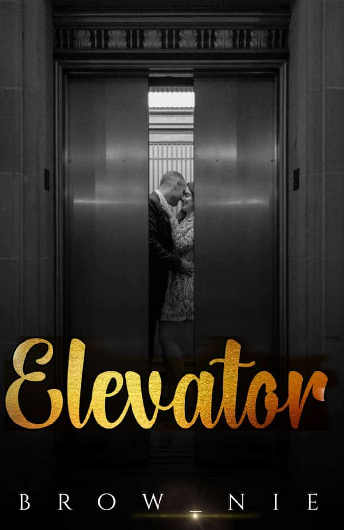 Elevator novel cover
