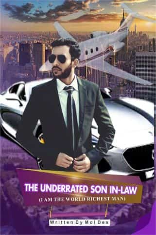The Underrated Son-In Law: I Am The World Richest Man novel cover