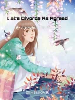 Let's Divorce As Agreed novel cover