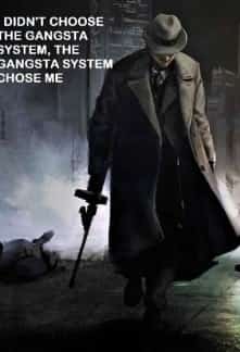 I Didn't Choose the Gangsta System, the Gangsta System Chose Me novel cover