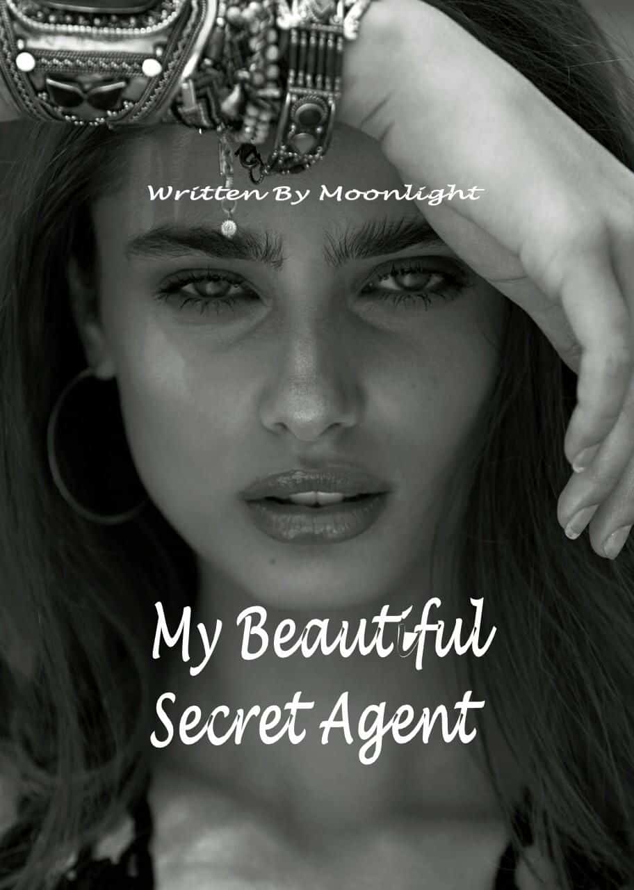 My Beautiful Secret Agent novel cover