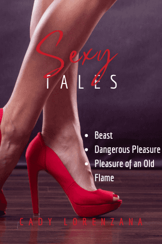 Sexy Tales novel cover