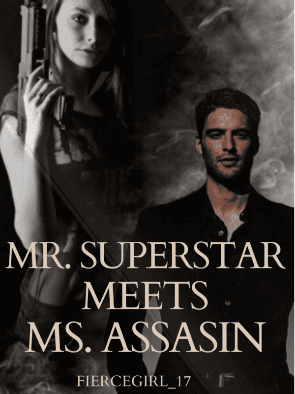 Mr. Superstar Meets Ms. Assassin novel cover