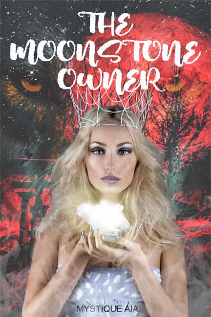 The Moonstone's Owner novel cover