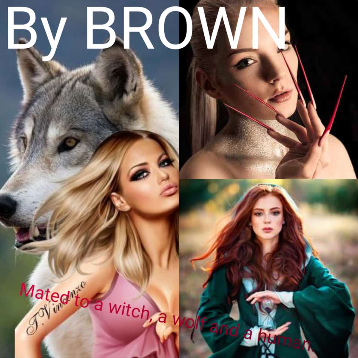 Mated to a witch, a wolf and a human novel cover