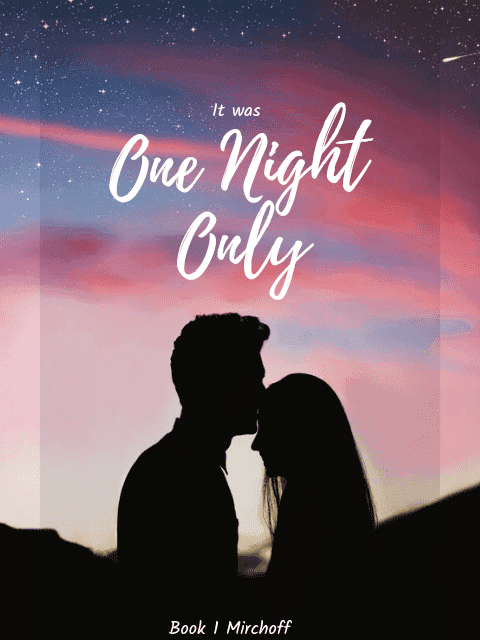 It was One Night Only novel cover